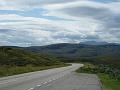 IMG_0951