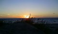 BILD0480