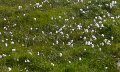 BILD0527