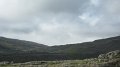 IMG_1262