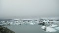 IMG_1277
