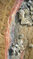 IMG_1376